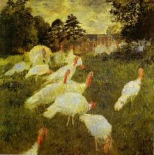 Haga click para ver la imagen ampliada white turkeys.jpg